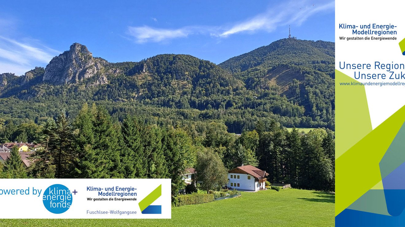 WALD DER ZUKUNFT - 05. Sept. 2025 - Heuberg Koppl