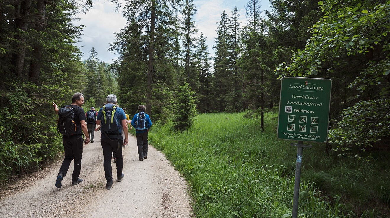 UNSERE ÖKOSYTEME ALS KLIMASCHÜTZER: WÄLDER & MOORE