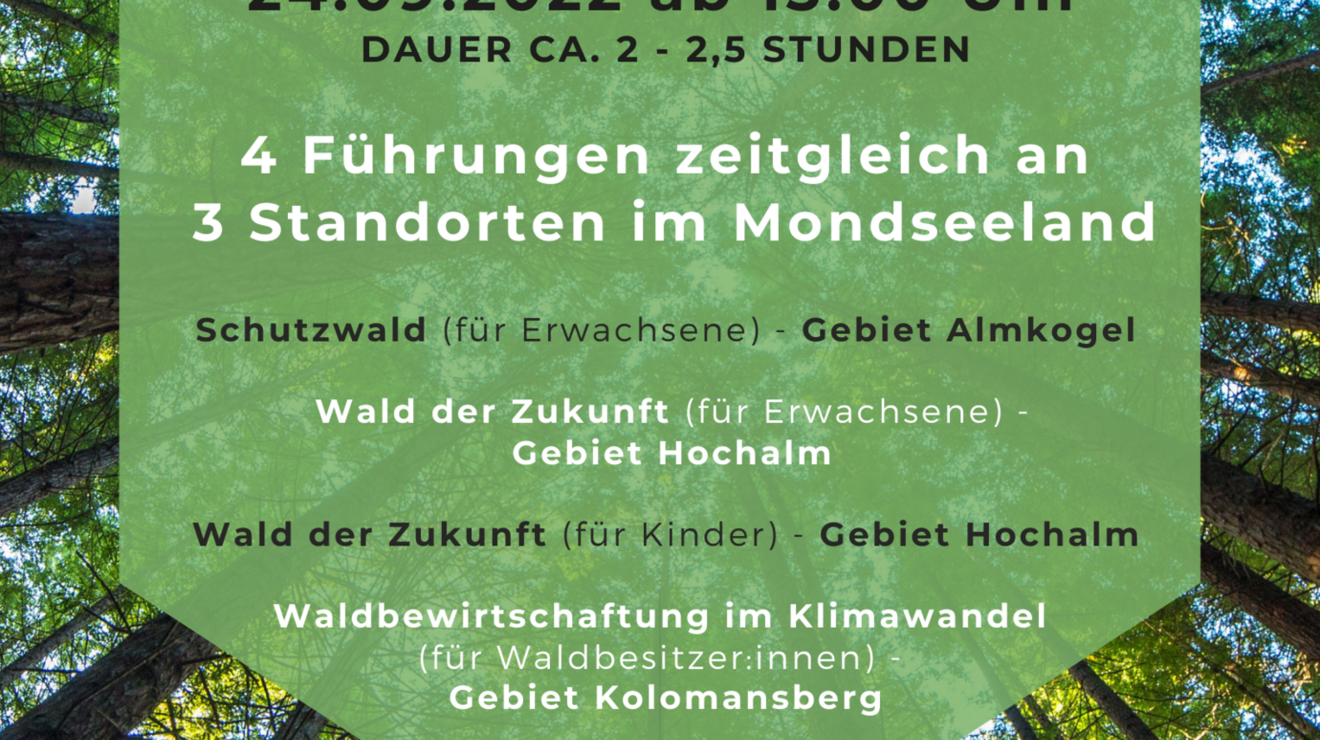 TAG DES OFFENEN WALDES IM MONDSEELAND