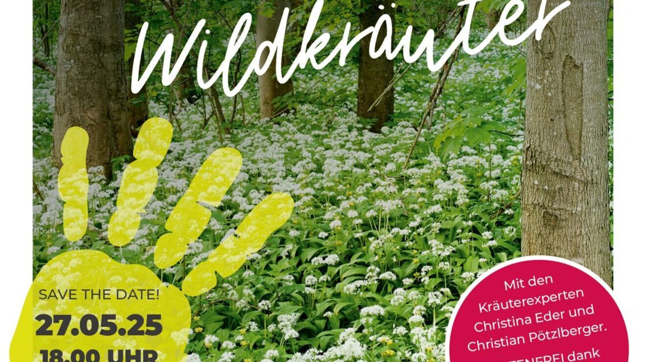 Green Makes WILDKRÄUTERWANDERUNG: Klimaschutz beginnt am Wegesrand