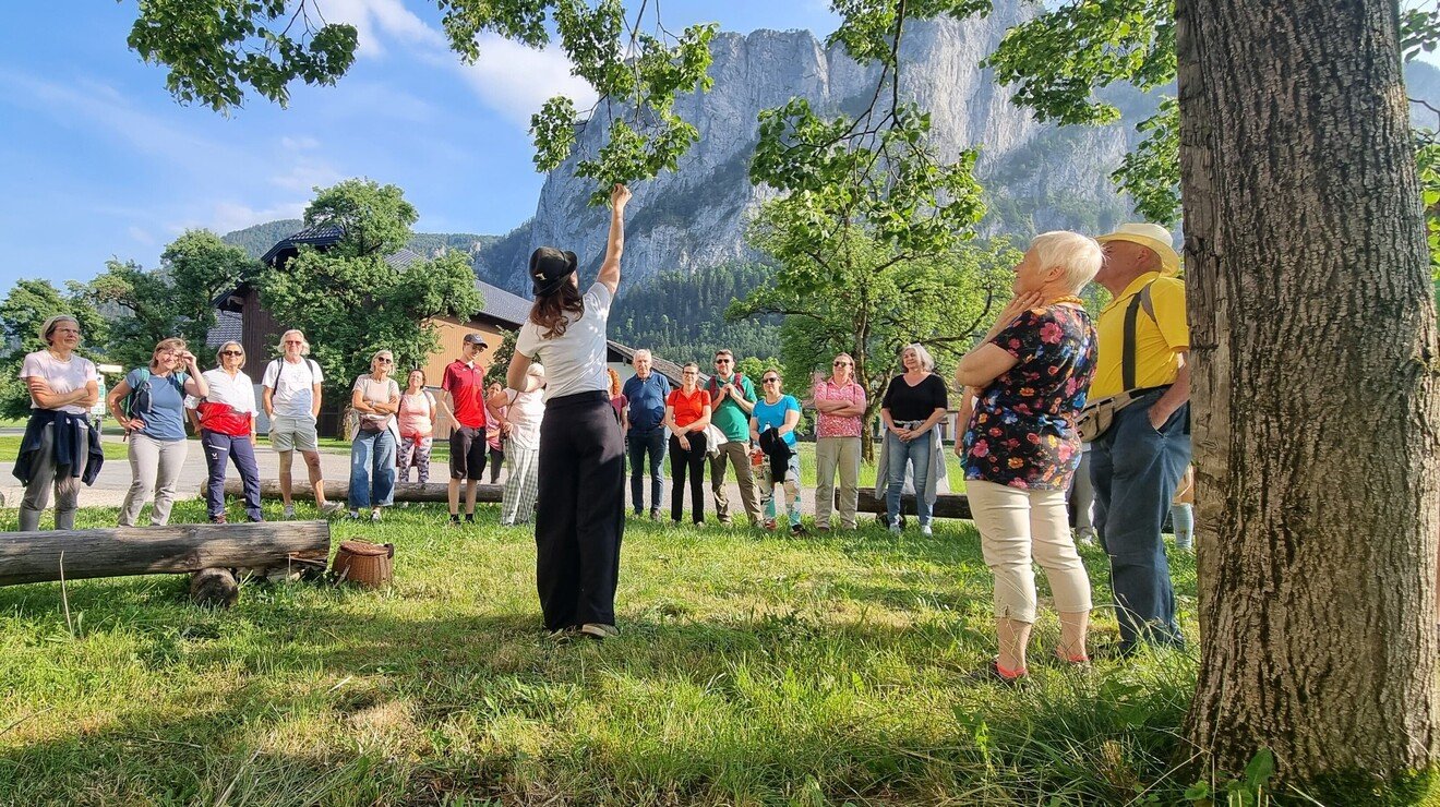 KEM-Wildkräuterwanderung unter der Drachenwand