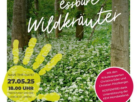 Green Makes WILDKRÄUTERWANDERUNG: Klimaschutz beginnt am Wegesrand