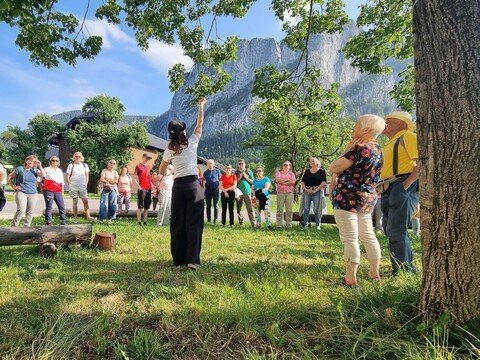 KEM-Wildkräuterwanderung unter der Drachenwand